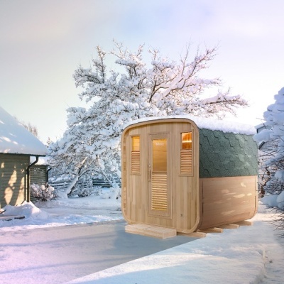 Cabine sauna de madeira clara com telhado verde escuro na neve