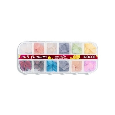 Caixa de flores secas coloridas para nail art