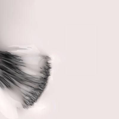 Escova de cabelo preta com cerdas finas