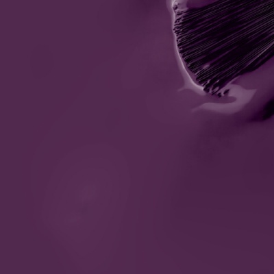 Folha de cogumelo roxa com textura estriada sobre fundo roxo