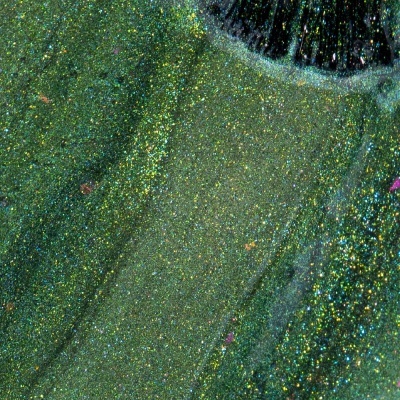 Esmalte de unhas verde com glitter e pincel preto próximo