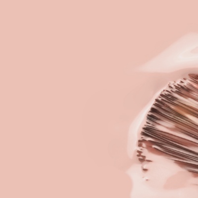 Leque de penas castanhas e bege sobre fundo rosa