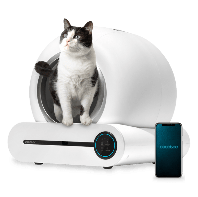 Máquina automática branca para gatos com gato e smartphone