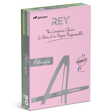 Pacote de papel A4 cor-de-rosa Sylvamo REY Adagio