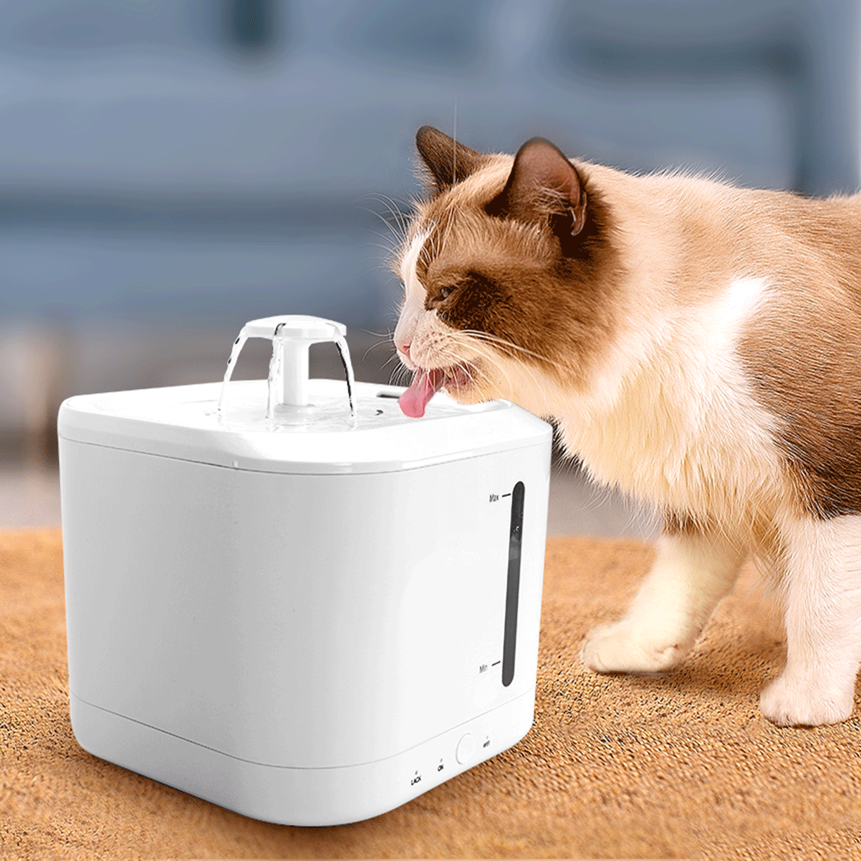 Gato a beber de fonte automática branca para água de animais em formato de cubo.