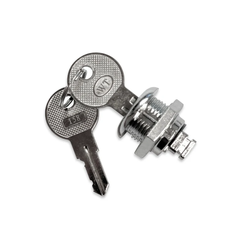 Cadeado prateado com duas chaves em fundo branco