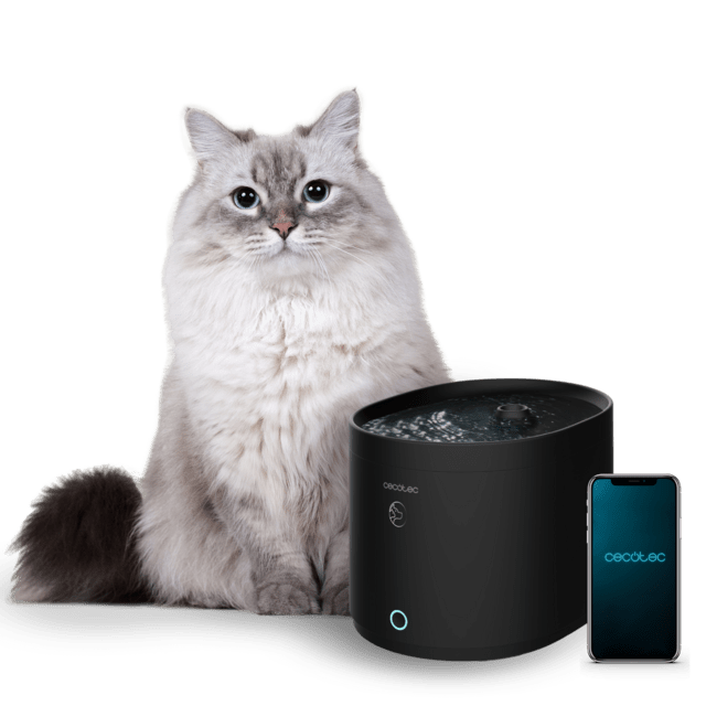 Gato cinzento junto a bebedouro automático preto e telemóvel com ecrã azul Cecotec