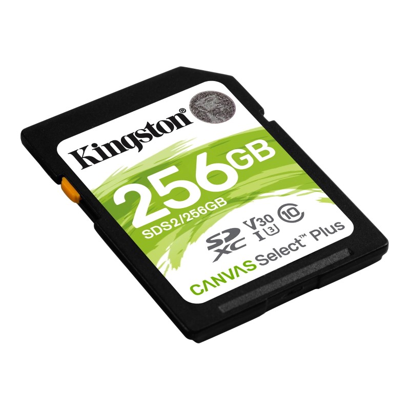 Cartão de memória SD Kingston 256GB preto e branco com detalhes verdes