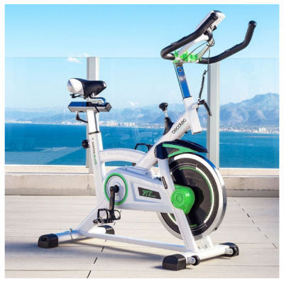 Bicicleta estática branca com detalhes verdes e pretos numa varanda com vista para o mar e montanhas