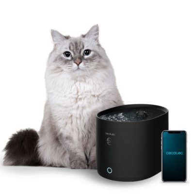 Gato cinzento junto a bebedouro automático preto e telemóvel com ecrã azul Cecotec
