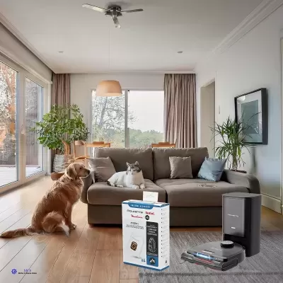 Sala de estar moderna com sofá cinzento, planta, cão e gato, aspirador robô e embalagem junto do sofá