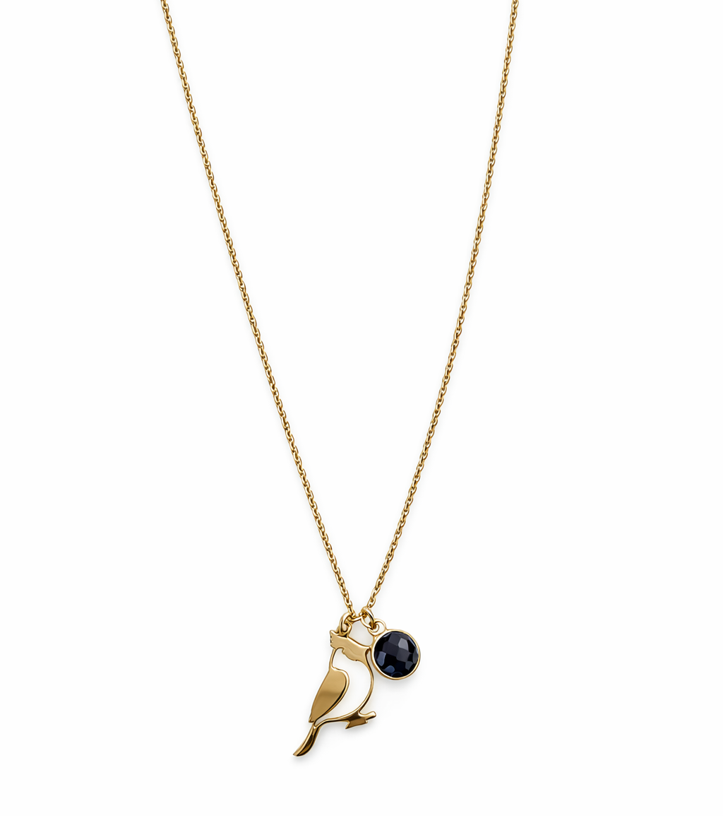Colar dourado com pendente de pássaro e pedra preta