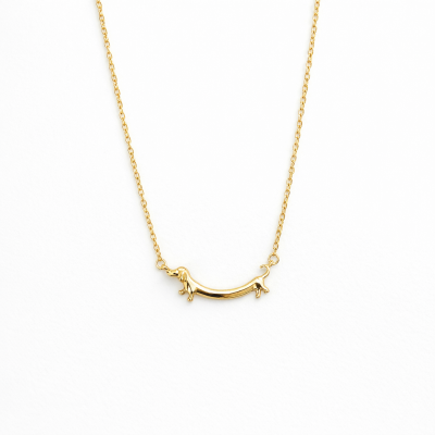 Colar dourado com pendente em forma de cão salsicha