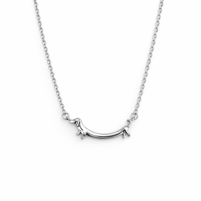 Colar prateado com pendente em forma de cão salsicha