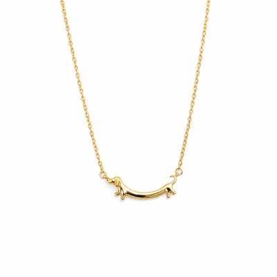 Colar dourado com pendente de cachorro salsicha