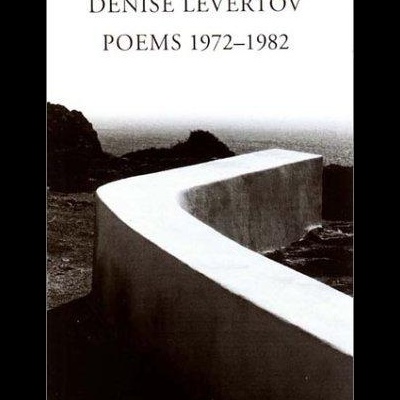 Capa de livro com texto e estrutura curva branca em ambiente rochoso.