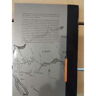 Capa de livro com texto em português e mapa antigo em tons cinza e sépia