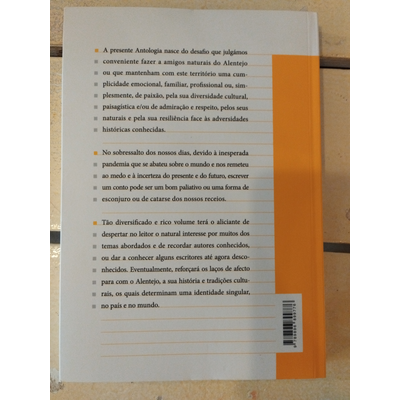 Parte de trás de livro com texto em português e faixa laranja vertical na margem direita