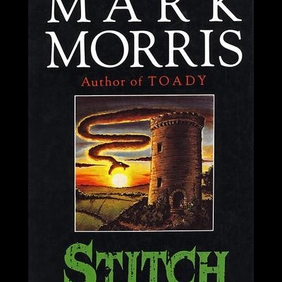 Capa de livro preta com torre, céu laranja, texto STITCH verde e autor MARK MORRIS branco