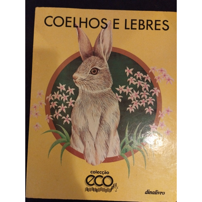 Capa amarela de livro com desenho de coelho e flores, texto COELHOS E LEBRES