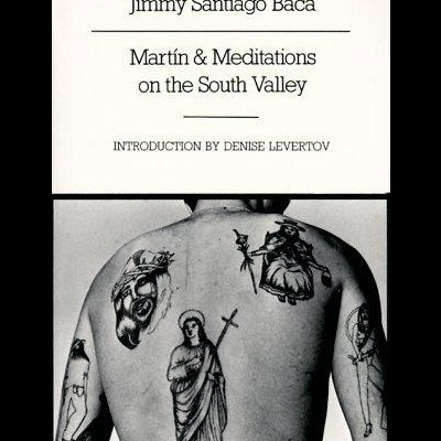 Capa de livro com título e autor, e fotografia preto e branco de costas tatuadas.