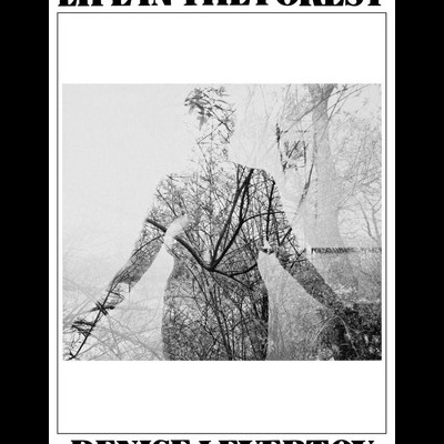 Capa de livro branco com título LIFE IN THE FOREST e autor DENISE LEVERTOV e imagem a preto e branco de silhueta humana com árvores