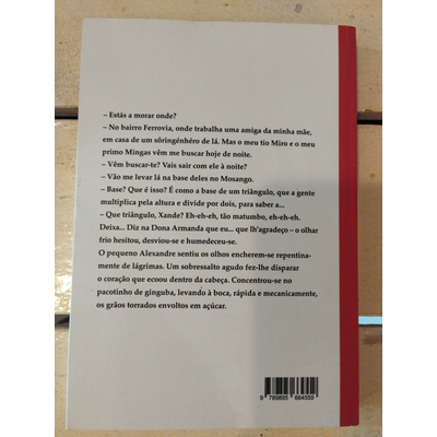 Parte traseira de um livro com texto em português, listra vermelha e código de barras