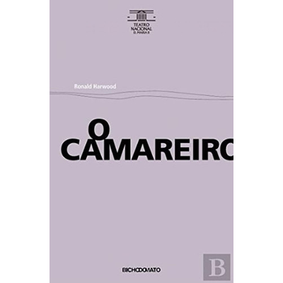 Capa lilás com texto em preto O CAMAREIRO e outros detalhes de edição