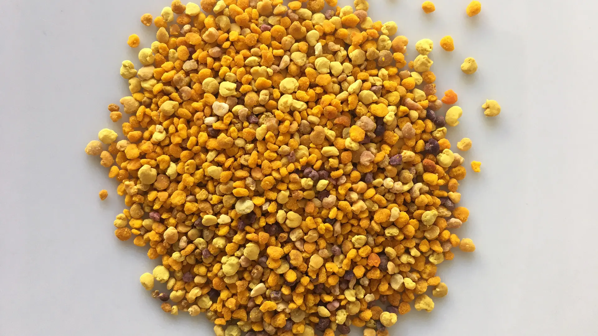 Pólen de abelha amarelo e laranja sobre fundo branco