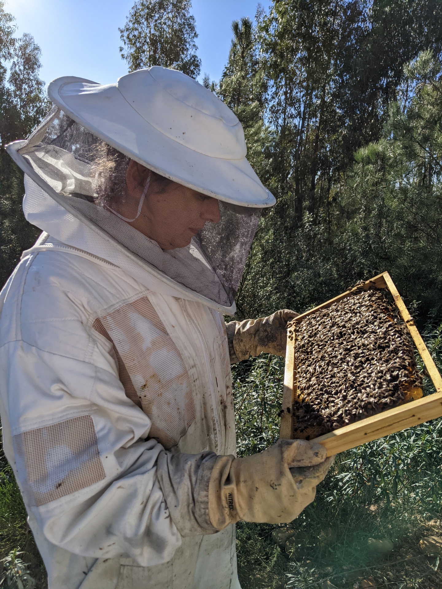 Vanessa_miss_beekeeper