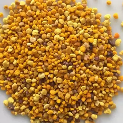 Pólen de abelha amarelo e laranja sobre fundo branco