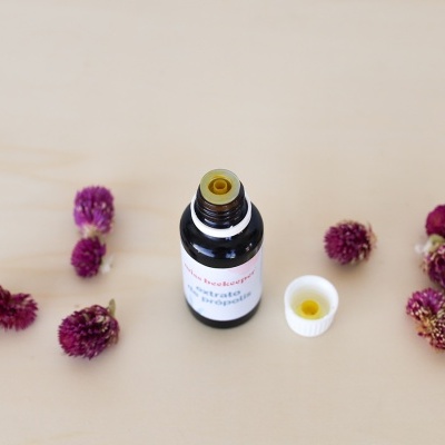 Extrato&#x20;de&#x20;Pr&#x00F3;polis&#x20;Conta-gotas&#x20;-&#x20;30&#x20;ml