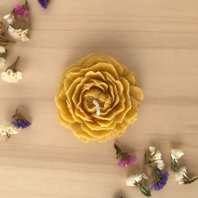 Vela&#x20;Pe&#x00F3;nia