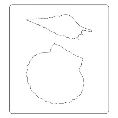 Desenho de contornos de duas conchas sobre fundo branco