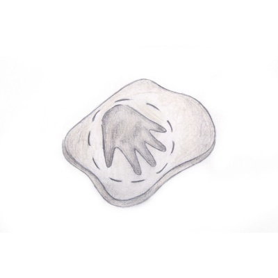 Luva de látex transparente sobre folha branca com linhas tracejadas.