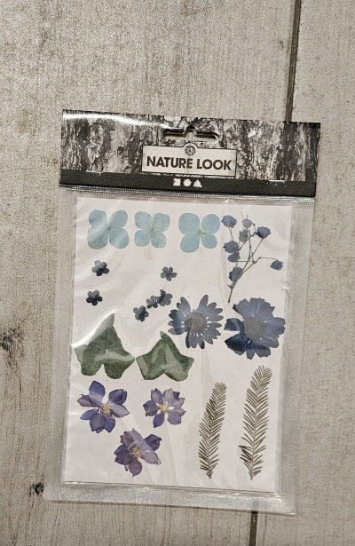 Flores e folhas secas prensadas em embalagem transparente com rótulo NATURE LOOK