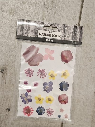 Pacote de autocolantes com flores secas coloridas Nature Look