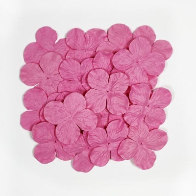 Pétalas artificiais cor de rosa sobre fundo branco