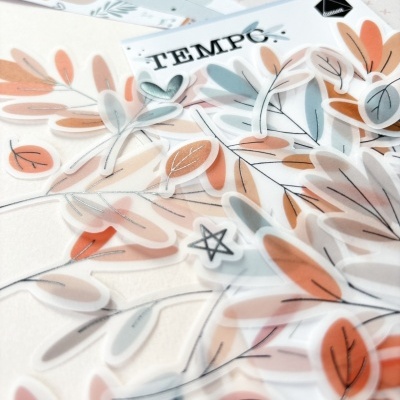 Autocolantes transparentes com folhas coloridas e texto TEMPO