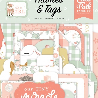 Pacote de cartões recortados com molduras e etiquetas decorativas para bebé