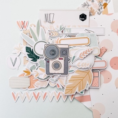 Autocolantes decorativos com desenhos de câmara fotográfica e elementos florais em tons pastel