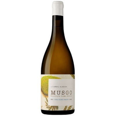 Garrafa de vinho branco com rótulo branco e texto em verde e marrom