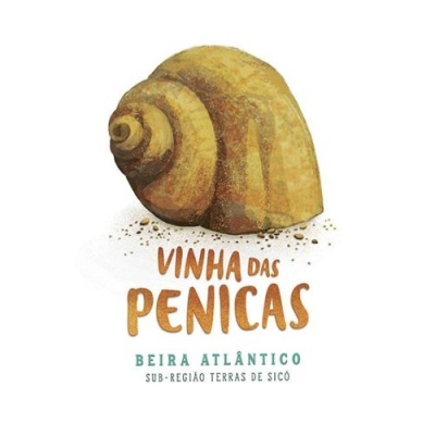 Ilustração de concha com texto Vinha das Penicas e indicação geográfica
