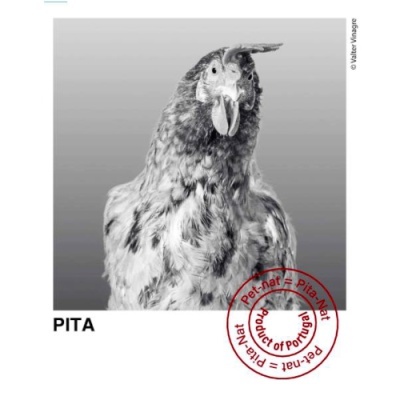 Galinha Pita preto e branco com selo vermelho Product of Portugal