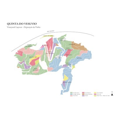 Mapa colorido do layout das vinhas de Quinta do Vesúvio com legendas de tipos de solo