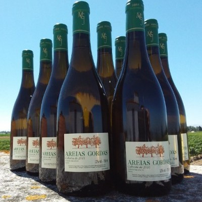 Oito garrafas de vinho branco AREIAS GORDAS com rótulos e cápsulas verdes ao ar livre