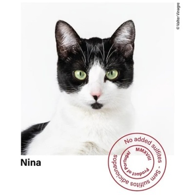 Gato preto e branco com olhos verdes, texto Nina e selo de qualidade em fundo branco