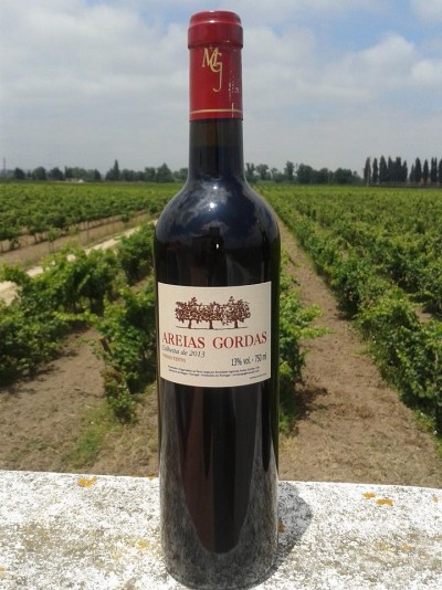 Garrafa de vinho tinto Areias Gordas Colheita de 2013 sobre um muro com vinhas ao fundo