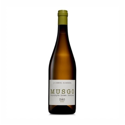 Garrafa de vinho Musgo Dão 2020 com rótulo branco