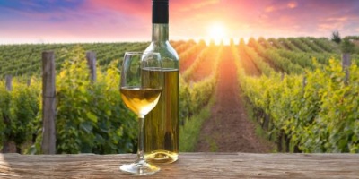 Garrafa e copo de vinho branco em bancada de madeira com vinha ao fundo ao pôr do sol